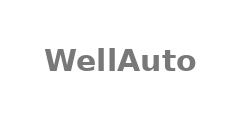 Модуль питания WellAuto AU7 898-24D05-H