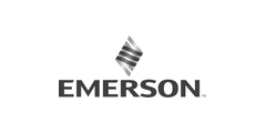 Блок Emerson SS6501T01