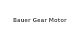 Bauer Gear Motor