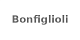 Bonfiglioli
