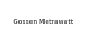 Gossen Metrawatt
