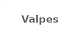 Valpes