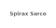 Spirax Sarco