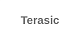 Terasic