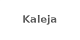 Kaleja