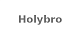Holybro