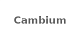 Cambium